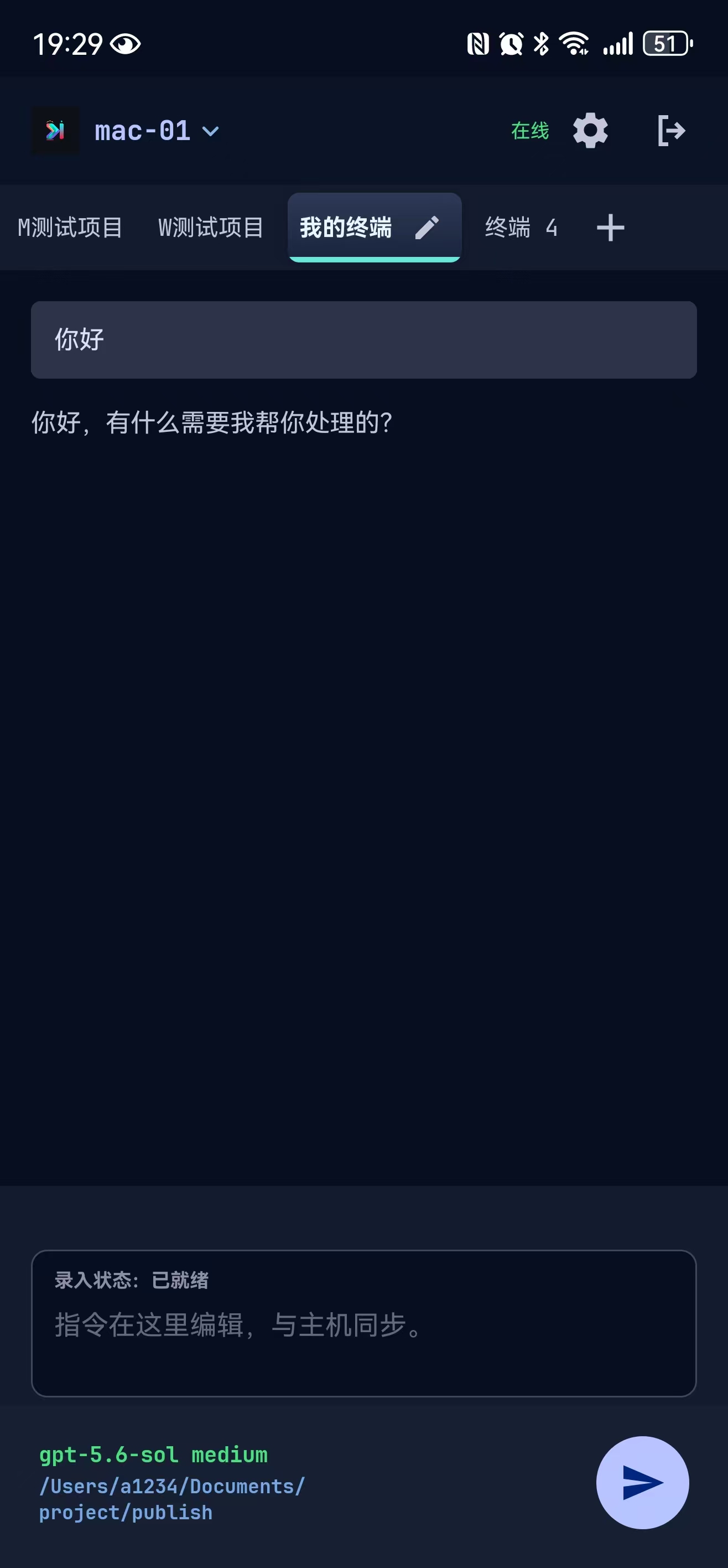 Wodgg 手机应用的终端协同界面